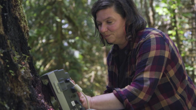 An artist holds a scanner up to a tree
