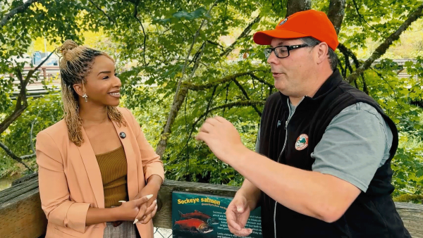 Sponsored Content | Northwest Explorer: A Swim Upstream: Touring Issaquah's Salmon Hatchery