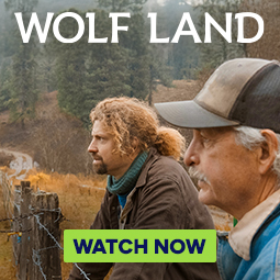 House Ad | Wolf Land