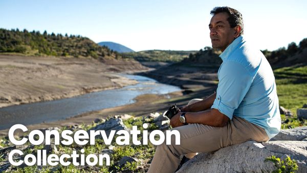 Conservation Collection