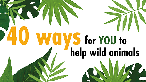 Text reading '40 ways to help wild animals' with a leafy border