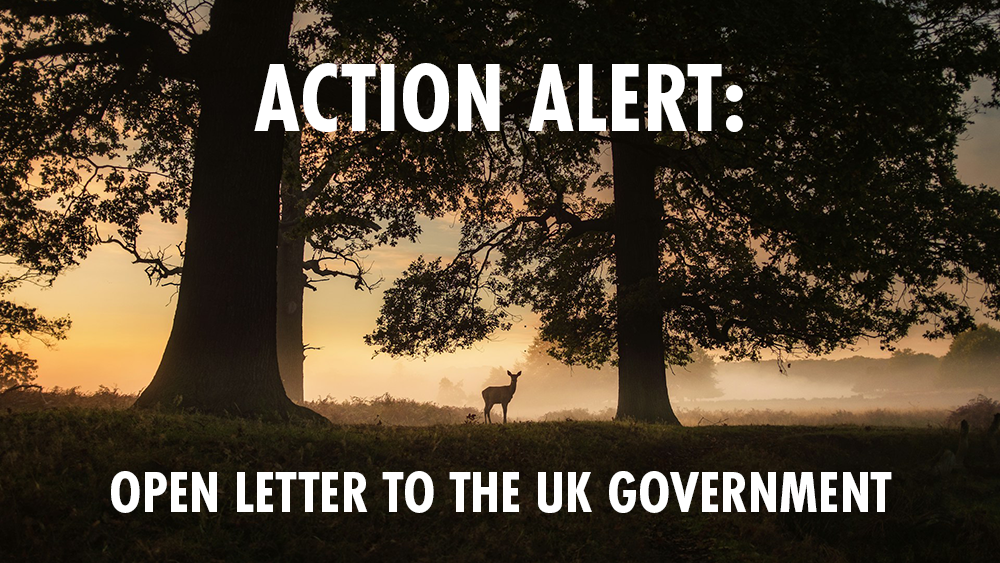 A deer stands in silhouette between trees with the sun rising behind, text reads 'Action Alert: Open letter to the UKgovernment'