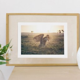 A framed image of a lion in the savannah with super-imposed wings. Signed by Dame Virginia McKenna