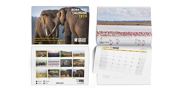Two images of the Born Free 2024 calendar open on different pages