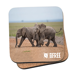 A coaster with two baby elephants and the Born Free logo