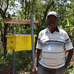 A man in striped t-shirt stood in front of a yellow beehive