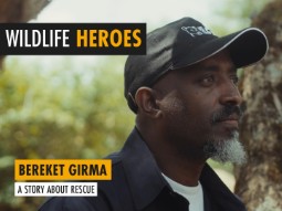 A photo of Bereket Girma wearing a Born Free baseball cap with text overlaid: WILDLIFE HEROES - Bereket Girma, A story about rescue.