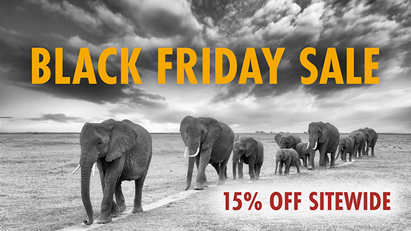 Black and white photo of a herd of elephants walking in a line, text reads 'Black Friday Sale, 15% off sitewide'