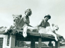A black and white photo of Dame Virginia McKenna and Bill Travers MBE sitting on top of a Land Rover with two lionesses - taken during the filming of Born Free.