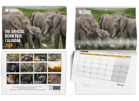 A photo of the Born Free calendar - the main image visible shows a group of elephants.