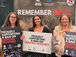 A photo of three Born Free team members standing in front of a 'remember Cecil' banner, holding placards.
