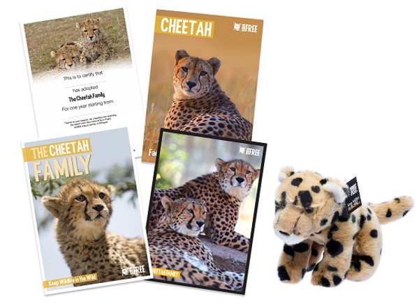 Cheetah adoption pack