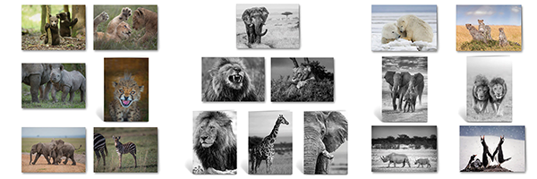 A montage of animal photos on Christmas cards
