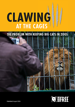 The front cover of the 'Clawing at the Cages' report
