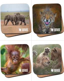 A montage of four coaster designs featuring elephants, cheetah, orangutans and lion cubs.