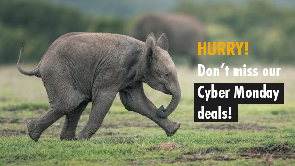 A photo of a baby elephant running from left to right, on grass. The text overlaid says: HURRY! Don't miss our Cyber Monday deals!