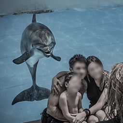 A dolphin in a glass tank, with people posing for a photo in front