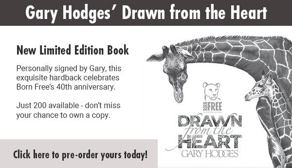 An image of Gary Hodges' Drawn from the Heart book - click to pre-order