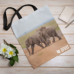 A tote bag with an image of two baby elephants on it