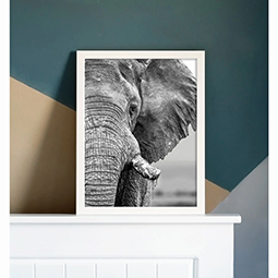 An art print of a black and white elephant propped on a shelf