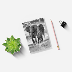A notepad with a black and white image of elephants