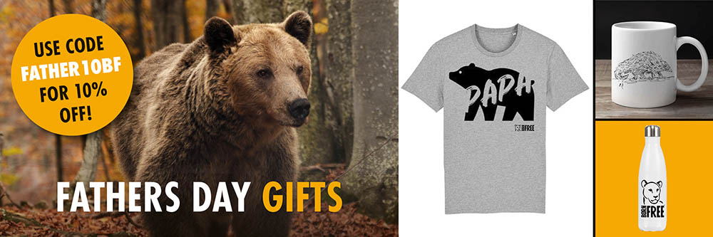 A montage of images of a brown bear, a 'Papa Bear' T-shirt, a white mug with a pangolin illustration, and a white water bottle with a Born Free logo on it. There is text overlaid which says Father's Day Gifts, use code FATHER10BF for 10% off