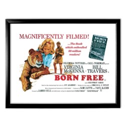 A photo of the original Born Free film poster in a black frame