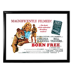 A print of the Born Free film poster in a black frame