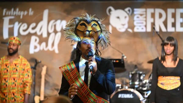 A photo of cast members from The Lion King stage musical, dressed in costume, performing on stage at the Footsteps to Freedom Ball 2025