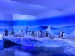 A photo of several gentoo penguins standing together inside a glass-fronted tank with vivid blue artificial lighting