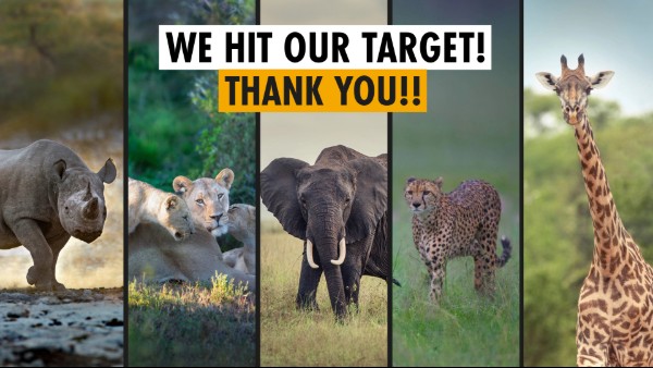 An image split into 5 sections - one showing a photo of a rhino, one a group of lions, one an elephant, one a cheetah and one a giraffe. The overaid text says: WE HIT OUR TARGET! THANK YOU!!