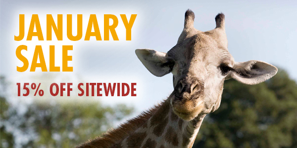 An image of a giraffe and text saying 'January Sale 15% off sitewide'