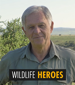 A photo of Johan Joubert in a Born Free / Shamwari uniform, smiling at the camera. The words 'WILDLIFE HEROES' are overlaid.