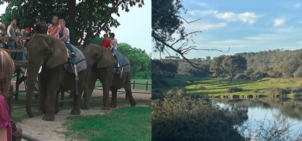 Photograph showing two scenes side by side: on the left, people riding elephants in a park-like setting with trees and grass; on the right, a natural landscape featuring a reflective pond, green fields, and distant hills under a partly cloudy sky. The contrast highlights human interaction with animals versus untouched nature.