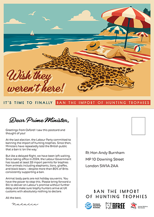 A mock up of the front and back of a postcard to the prime minister, the front has a leopard skin laid out on the beach with text saying 'wish they weren't here'