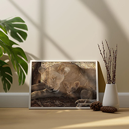 An art print of a lion and cub, propped against a wall
