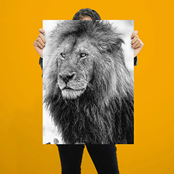 A person holding up a large black and white art print