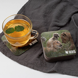A pile of coasters with a lion cub on and a mug of green tea