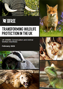 The front cover of Born Free's UK Wildlife Conservation and Animal Welfare Manifesto
