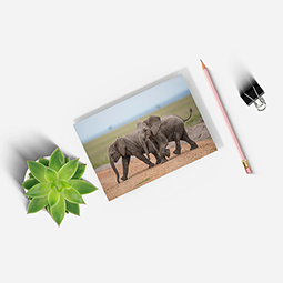 A notepad with elephants on, next to a pencil and plant