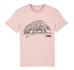 A pink T-Shirt with Quentin Blake pangolin drawing