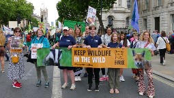 A group of protestors holding up a large banner which says 'Keep Wildlife in the Wild'