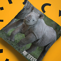 A cushion with photo of a baby rhino on it