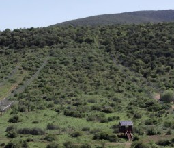 An aerial drone photo of the vast Shamwari landscape.