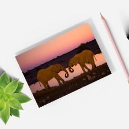 A photo of a notebook featuring two elephants in front of a watering hole at dusk.