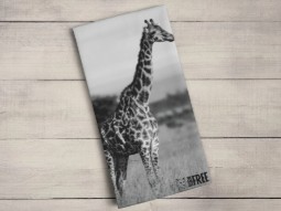 A photo of a tea towel featuring a black and white photo of a giraffe standing in the African bush