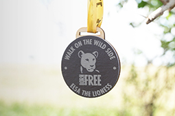 Close up of a grey Walk on the Wild Side medal with Born Free logo, on a yellow ribbon