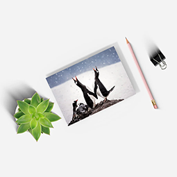 A notepad with two penguins on it, next to a pencil, bulldog clip and plant