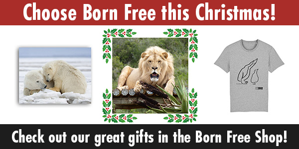 A banner which says: Choose Born Free this Christmas! Then shows a range of Christmas gift ideas, and ends with the text: Check out our great gifts in the Born Free Shop!