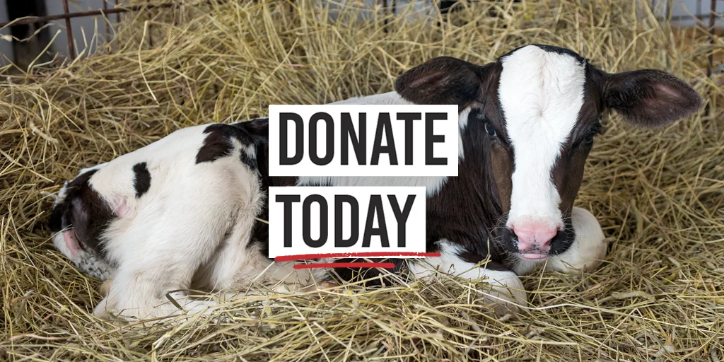 Donate today
